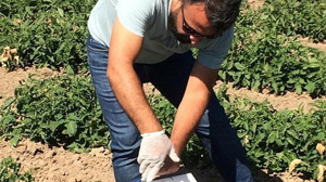 İvrindi'de Zararlılarla Mücadele Çalışmaları