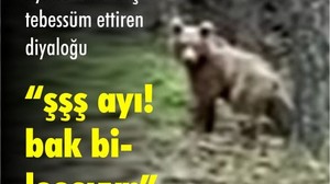 Ayı ile vatandaşın tebessüm ettiren diyaloğu