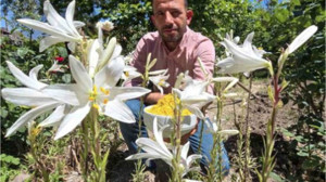 Baş Ağrısını Gideriyor Gençleştiriyor! Türkiye'den Fransa'ya Gidiyor