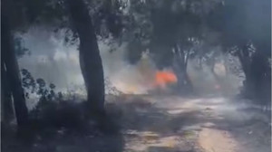 Savaştepe'de Bir Yangın Daha!