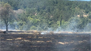 Balıkesir Orman Bölge'den Uyarı! Kıvılcımın Tehlikesi