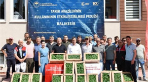 212 Bin Sebze Fidanı Balıkesir Toprağında