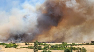 Balıkesir'de Arazide Başlayan Yangın Ormana Sıçradı