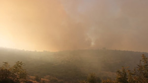 Altıeylül'de Çıkan Yangın Gece Kontrol Altına Alındı