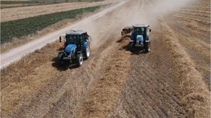 İklim Değişikliği Balıkesir'de Rekolteyi Düşürdü