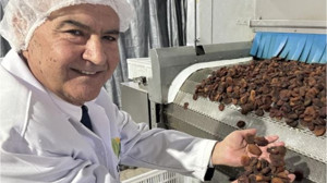 Kuru Meyve İhracatında Döviz Geliri Yüzde 15 Arttı