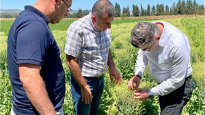 Balıkesir Tohumları Uluslararası Pazarın Gözdesi