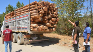 Balıkesir Orman Bölge Müdürlüğü'nden Sıkı Denetim