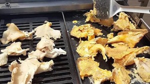 Mangalın Yeni Gözdesi: İstiridye Mantarı