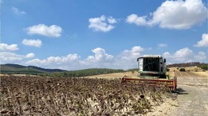 Tarım ÜFE Eylül'de Artış Gösterdi