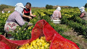Balıkesir’in 3 belirgin özelliği