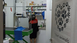 Altıeylül’de Veteriner Kliniklerine Yıl Boyu Denetim