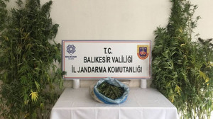 Bandırma’da Uyuşturucu Operasyonu