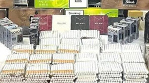 Gömeç’te Tütün Kaçakçılığı Operasyonu