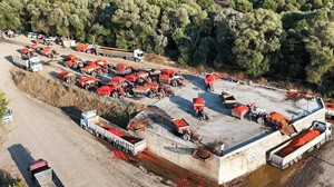 Sındırgı ve Bigadiç'te Domates Üreticileri İsyanda