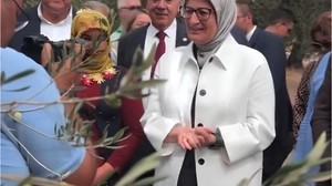 Vekil Uygur Yılın İlk Zeytin Hasadını Gerçekleştirdi