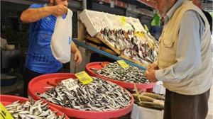 Balıkesir'de Av Yasağı Kalktı Tezgahlar Doldu!