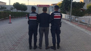 Aranan Dolandırıcı Şahıs Edremit’te Zeytinlikte Yakalandı