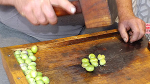 Erdek’te Dededen Kalma Kırma Zeytin Geleneği