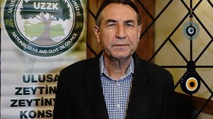 UZZK Başkanı Tan'dan Zeytincilikte Rekor Beklentisi
