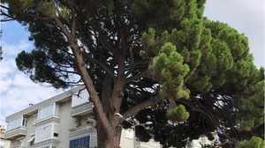 Erdek'te Bulunuyor 1860 Yılına Tanıklık Ediyor