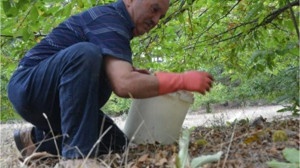 Bir Yıldır Bu Anı Bekliyorlar
