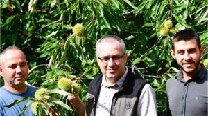 Gal Arısı Balıkesir'i Koruyacak!