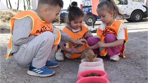Anaokulu Öğrencileri Sokak Hayvanlarını Unutmadı