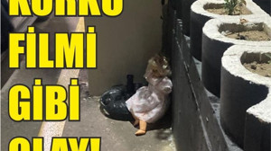 Balıkesir'de Korku Filmlerini Andıran Olay!