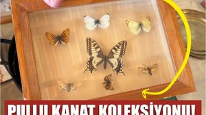 Pullu Kanat Koleksiyonu Balıkesir'de!