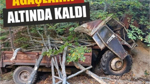 Ağaçların Altında Kalan Araçta Can Pazarı