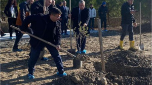 BAÜN'de Zeytin Fidanları Toprakla Buluştu