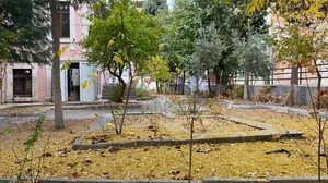Balıkesir Kasım’da Sarıya Büründü
