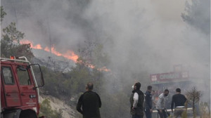 Son Dakika! Bursa'da Başlayan Yangın Dursunbey'e Sıçradı