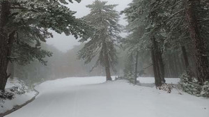 Kazdağları'nda Kar Büyüledi