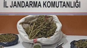 Manyas’ta 2 Kilo Esrar ve Tabanca Ele Geçirildi