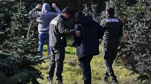 Ekipler 7/24 'Yılbaşı Ağacı' Nöbetinde