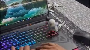 Çocukları Bilgisayardan Uzak Tutmak İçin Kesin Çözüm!