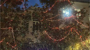 Balıkesir Yılbaşını Süslü Ağaçların kuşları ile Bekliyor