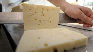 120 Gün Ağlayarak Sofraya Gelen O Peynir Balıkesir'in