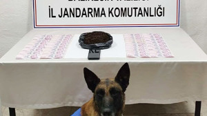 Balıkesir İl Jandarma Komutanlığı'ndan Kaçakçılığa Darbe