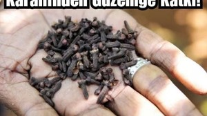 Balıkesir'de Karanfil Güzelliğe Katkıda Bulunuyor!