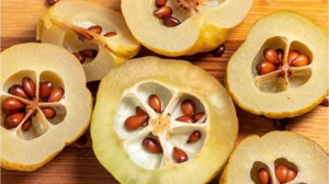 Balıkesir'de Kışın Cilt Bakımında Ayva Çekirdeği Kullanılıyor