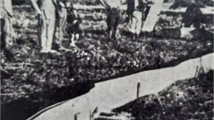 Balıkesir Tarihinde Çekirge Felaketi (1914)