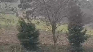 Bigadiç Karyağdı'da Karla Karışık Yağmurlu Bir Hava Hakim