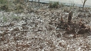 Kış Geldi! Balıkesir'de Kar Yağışı Başladı
