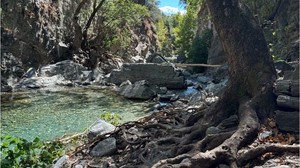 Balıkesir'in Bu Kanyonu Şifalı Bitkilerle Dolu