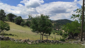 Doğanın Zirvesi Dursunbey'in Gölcük Yaylası