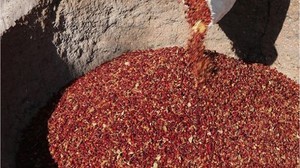 Balıkesir'de Köy Sumağı Nasıl Kullanılır?