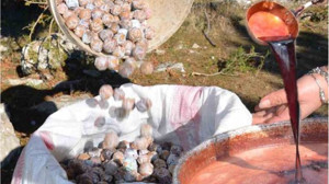 Balıkesir’de Andız Pekmezi Tercih Ediliyor